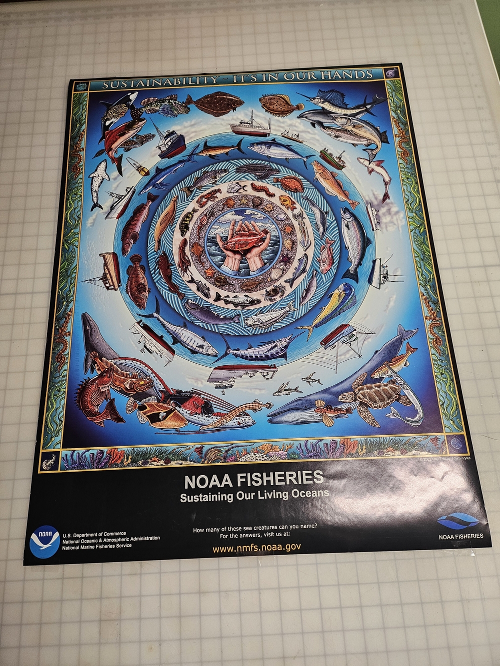 Fisheries Ocean Poster
